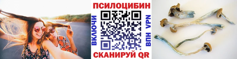 Псилоцибиновые грибы мухоморы  Купить  Саров 